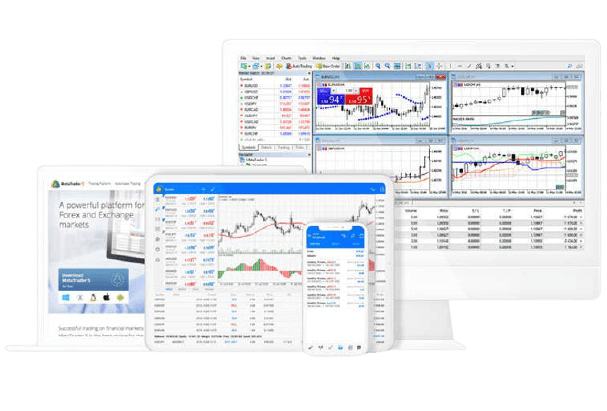 fb-trading-platforms-mt5-removebg-preview (1)